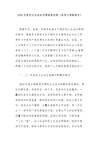 2024年度民主生活会对照检查材料（县审计局副局长）