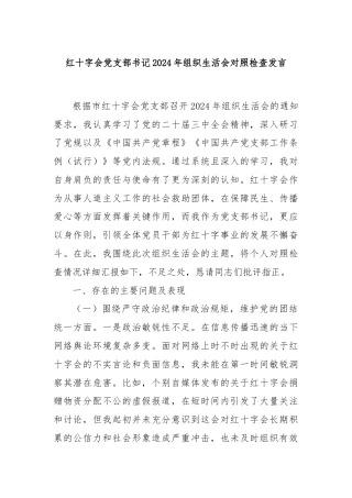 红十字会党支部书记2024年组织生活会对照检查发言