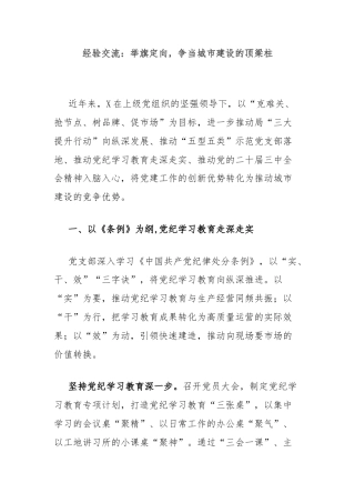 经验交流：举旗定向，争当城市建设的顶梁柱