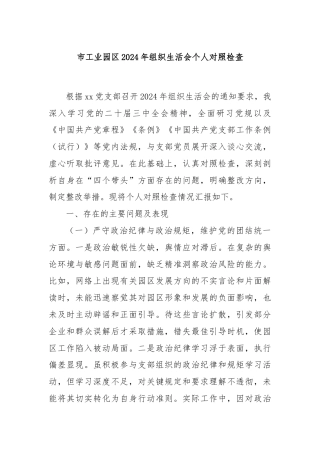市工业园区2024年组织生活会个人对照检查