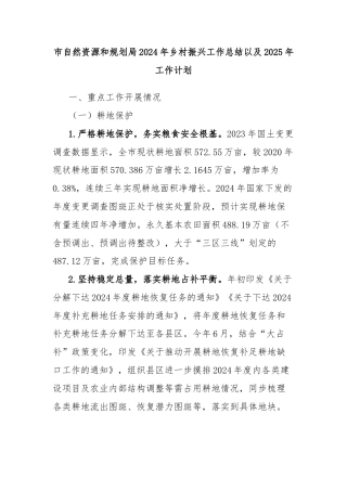 市自然资源和规划局2024年乡村振兴工作总结以及2025年工作计划