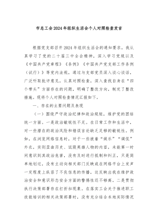 市总工会2024年组织生活会个人对照检查发言