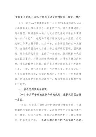 支部委员会班子2025年组织生活会对照检查（发言）材料