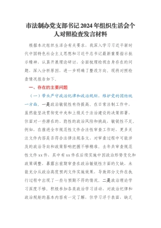 市法制办党支部书记2024年组织生活会个人对照检查发言材料