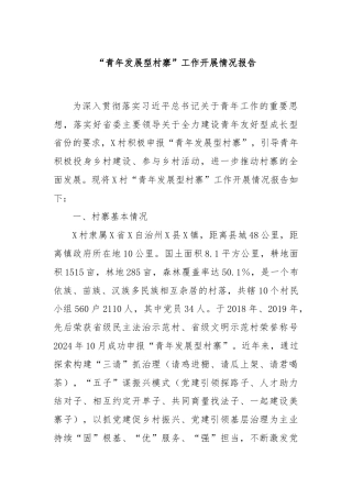 “青年发展型村寨”工作开展情况报告
