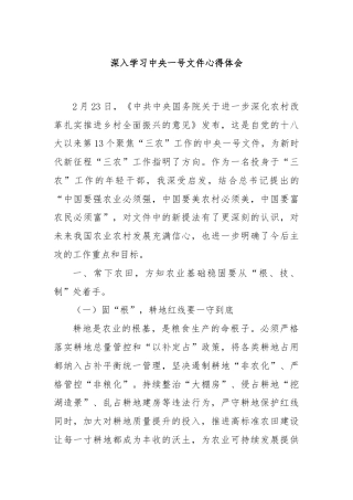 深入学习中央一号文件心得体会