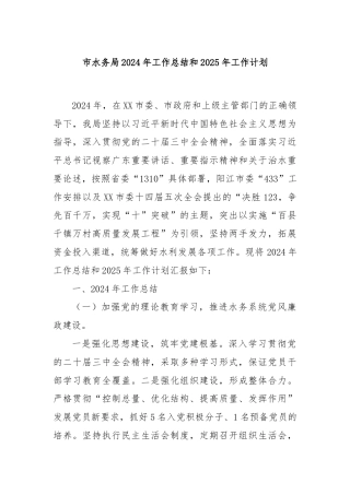 市水务局2024年工作总结和2025年工作计划