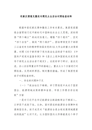 巡察反馈意见整改专题民主生活会对照检查材料