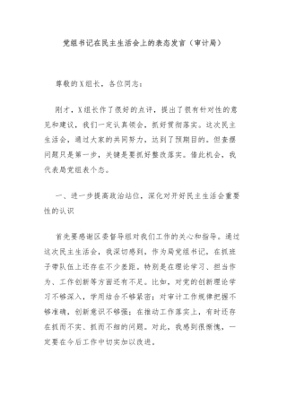 党组书记在民主生活会上的表态发言（审计局）