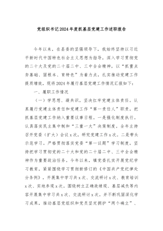 党组织书记2024年度抓基层党建工作述职报告