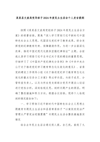 某某县文旅局党导班子2024年度民主生活会个人发言提纲