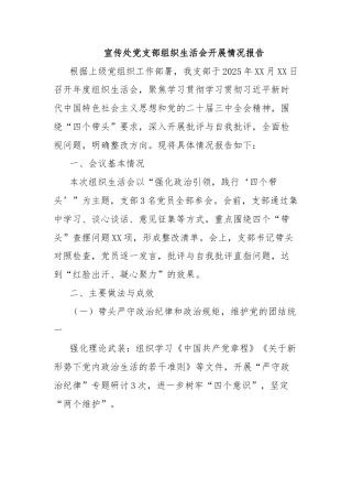 宣传处党支部组织生活会开展情况报告