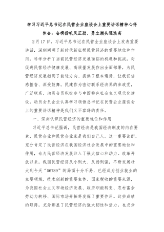 学习习近平总书记在民营企业座谈会上重要讲话精神心得体会：奋楫扬帆风正劲、勇立潮头逐浪高