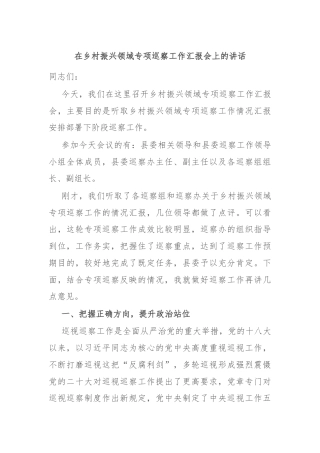 在乡村振兴领域专项巡察工作汇报会上的讲话