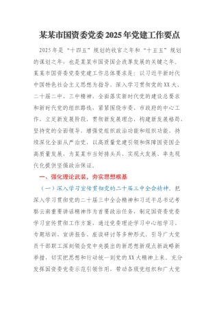 某某市国资委党委2025年党建工作要点