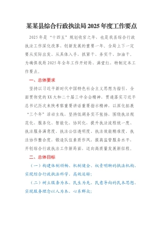 某某县综合行政执法局2025年度工作要点