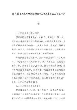 XX市XX县生态环境分局2024年工作总结及2025年工作计划