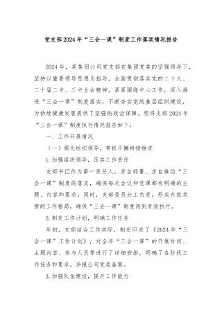 党支部2024年“三会一课”制度工作落实情况报告