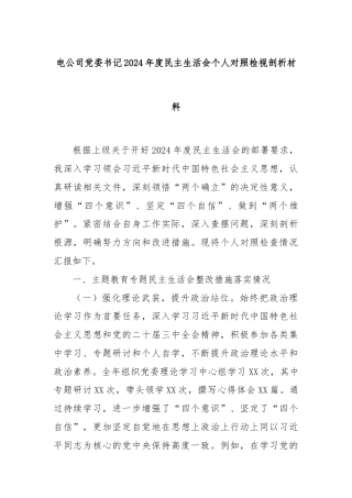 电公司党委书记2024年度民主生活会个人对照检视剖析材料