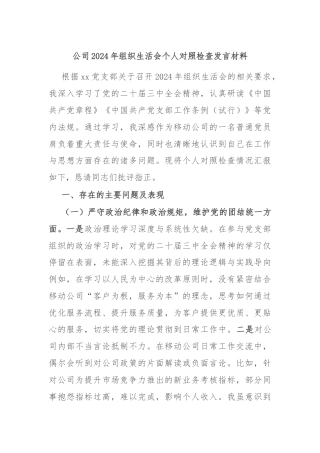 公司2024年组织生活会个人对照检查发言材料