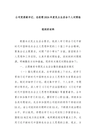 公司党委副书记、 总经理 2024 年度民主生活会个人对照检视剖析材料