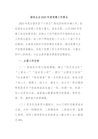 国有企业2025年度党建工作要点