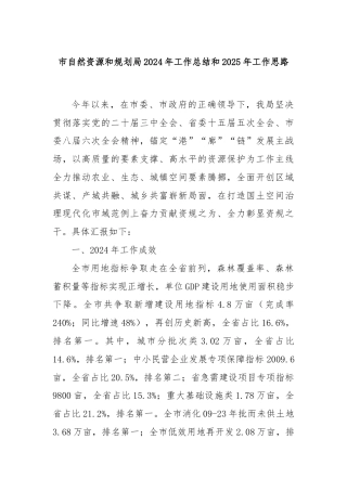 市自然资源和规划局2024年工作总结和2025年工作思路
