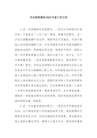 市自然资源局2025年度工作计划