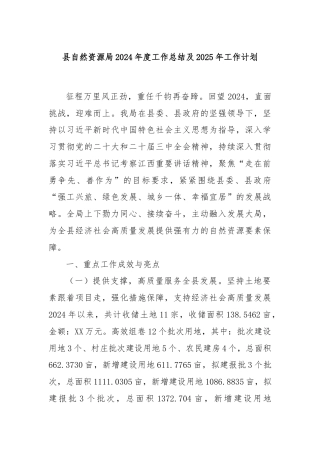 县自然资源局2024年度工作总结及2025年工作计划