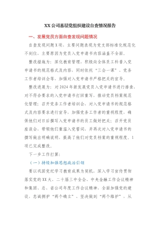 XX公司基层党组织建设自查整改情况报告（包含发展党员、党支部标准化规范化方面）