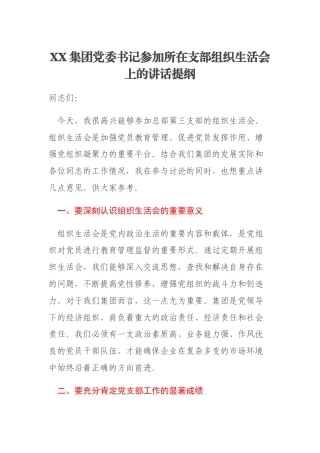 XX集团党委书记参加所在支部组织生活会上的讲话提纲