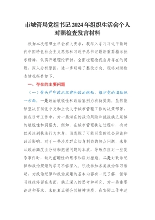 市城管局党组书记2024年组织生活会个人对照检查发言材料