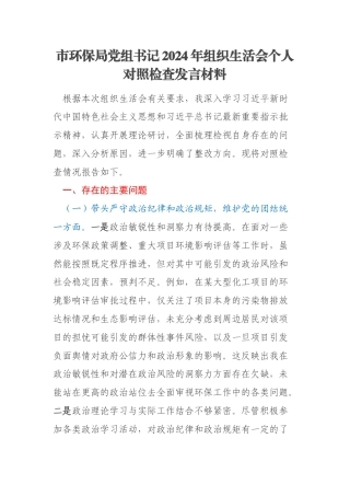 市环保局党组书记2024年组织生活会个人对照检查发言材料