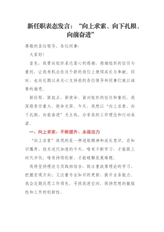 新任职表态发言：“向上求索、向下扎根、向前奋进”