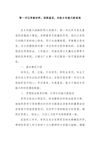 第一书记考察材料：深耕基层，共绘乡村振兴新画卷