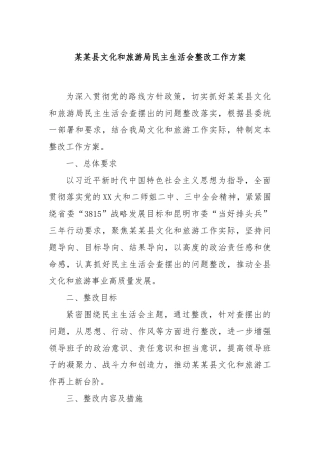 某某县文化和旅游局民主生活会整改工作方案
