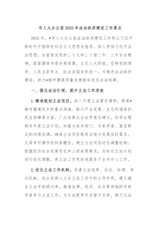 市人大办公室2025年法治政府建设工作要点