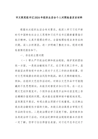 市文联党组书记2024年组织生活会个人对照检查发言材料