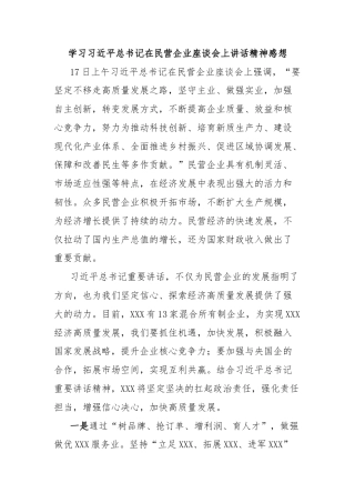 学习习近平总书记在民营企业座谈会上讲话精神感想