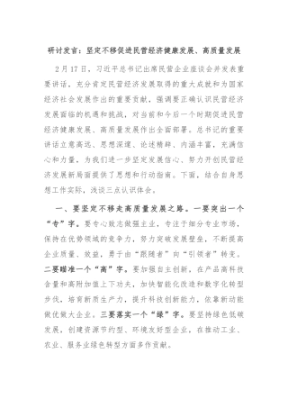 研讨发言：坚定不移促进民营经济健康发展、高质量发展
