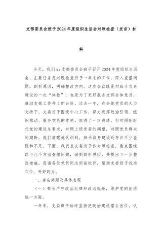 支部委员会班子2024年度组织生活会对照检查（发言）材料