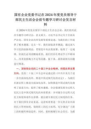 国有企业党委书记在2024年度党员领导干部民主生活会会前专题学习研讨会发言材料