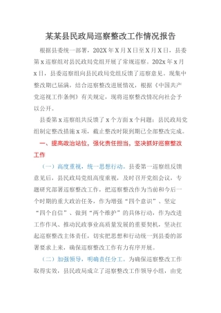 某某县民政局巡察整改工作情况报告