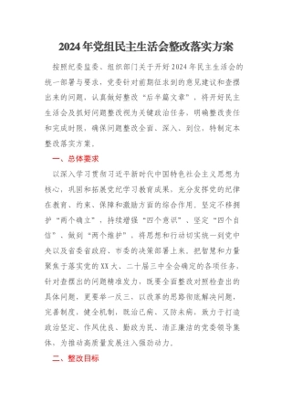 2024年党组民主生活会整改落实方案