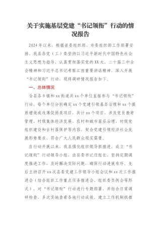 关于实施基层党建“书记领衔”行动的情况报告