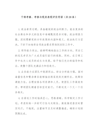 (28条)干部考察、考核与现实表现评价用语