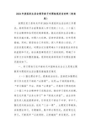 2024年度组织生活会领导班子对照检视发言材料（财政局）