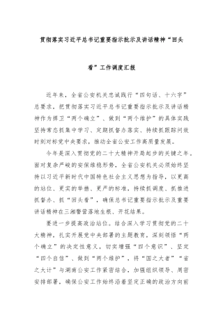 贯彻落实习近平总书记重要指示批示及讲话精神“回头看”工作调度汇报