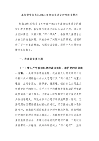 基层党支部书记2024年组织生活会对照检查材料