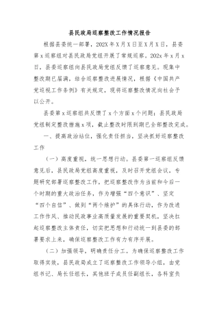 县民政局巡察整改工作情况报告
